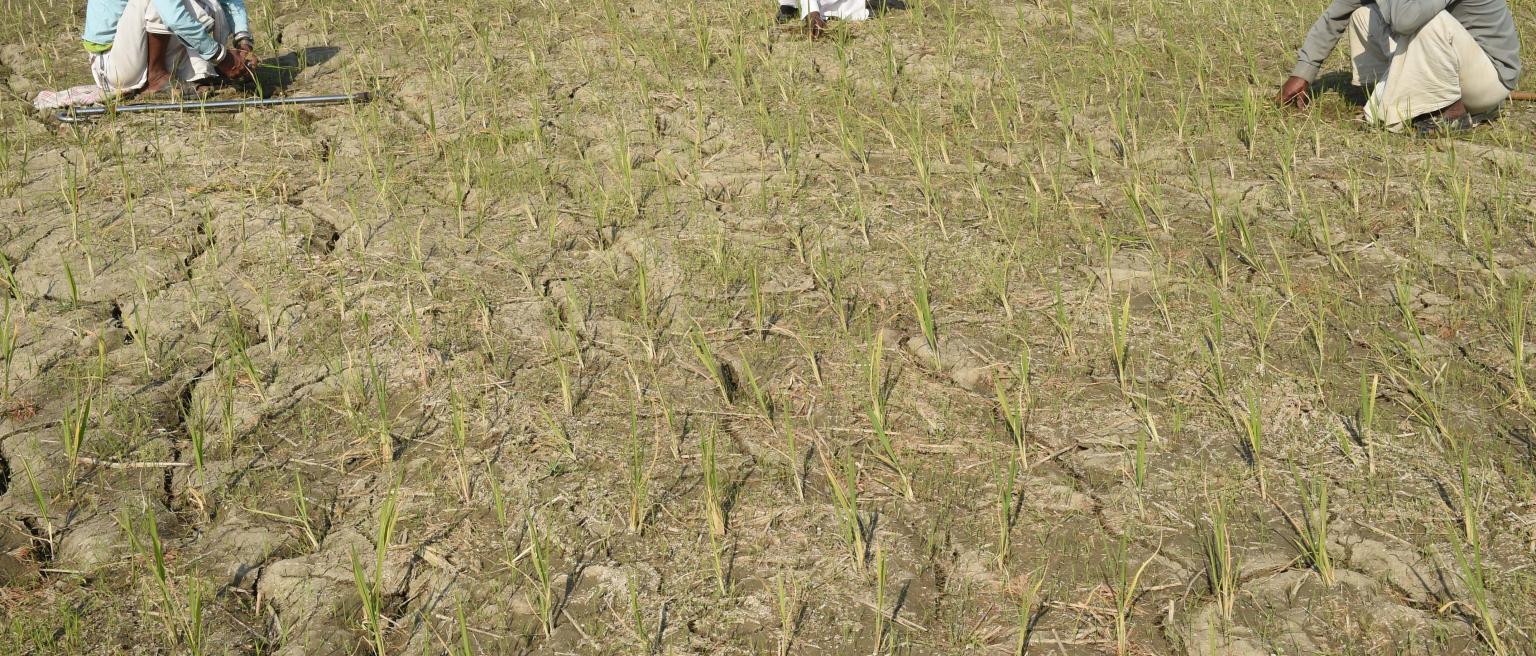 Indian Farmers sit in a simi-dried up paddyfield at Likhambha village of Sanad taluka, some 40 kms. from Ahmedabad on January 31, 2018. AFP PHOTO / SAM PANTHAKY (Photo credit should read SAM PANTHAKY/AFP via Getty Images)