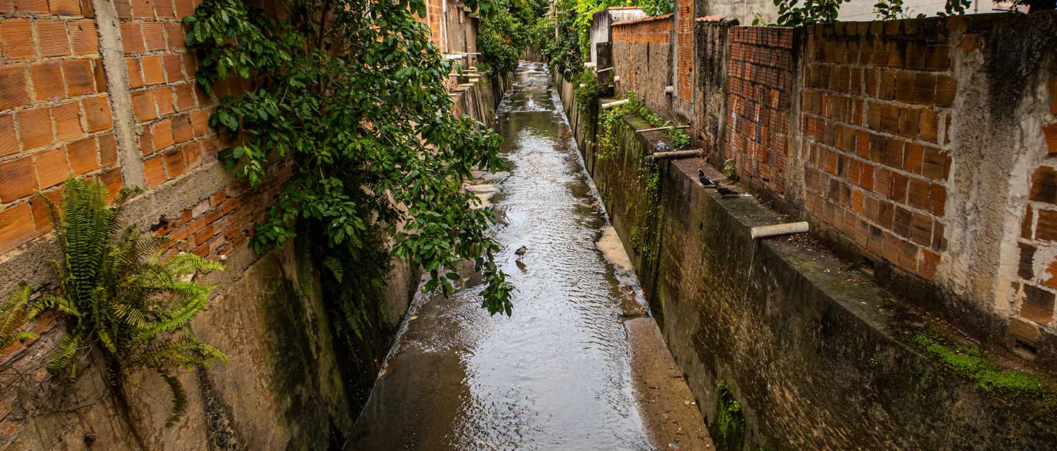 An open sewer in a city in Brazil flanked by walls, plants and birdlife.