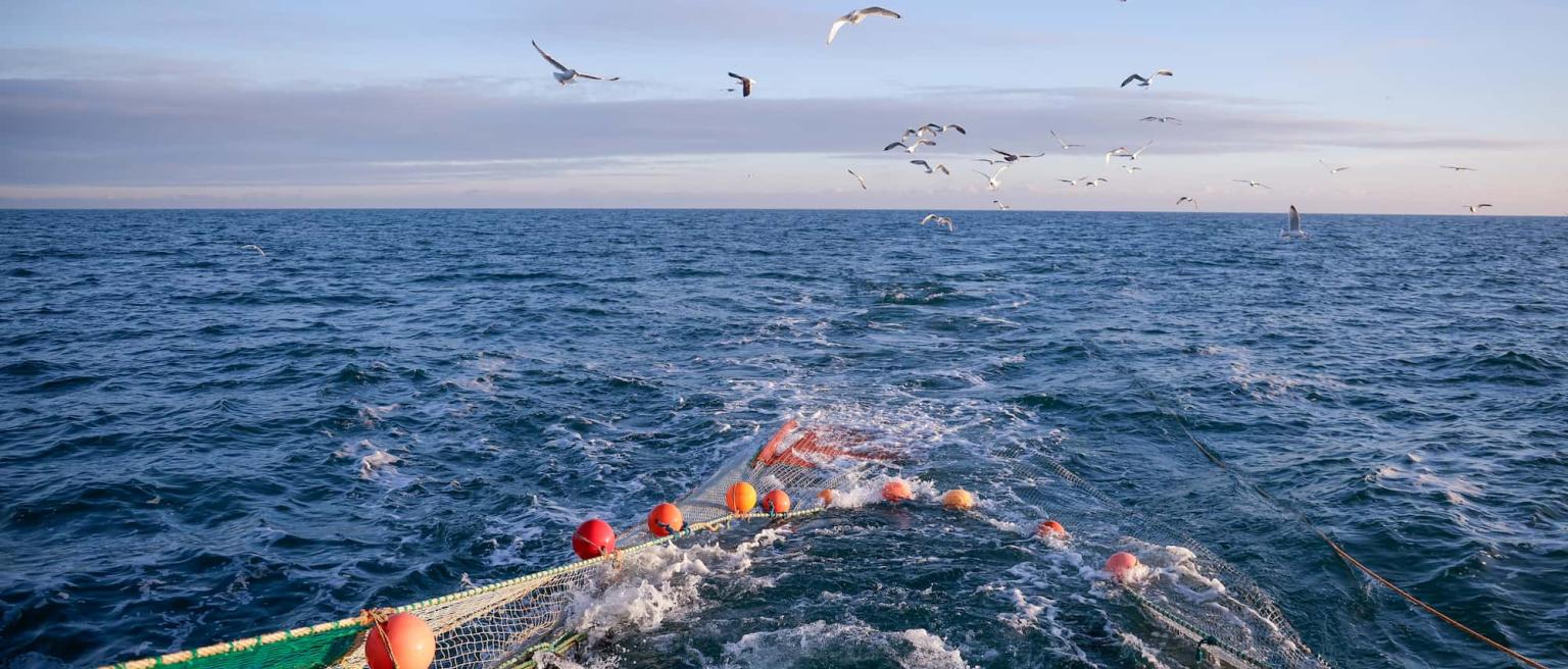Why oceans matter for development, as illustrated by a fishing trawler in the sea, against waves and birds in the background.
