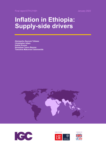 Tafesse et al final report January 2022