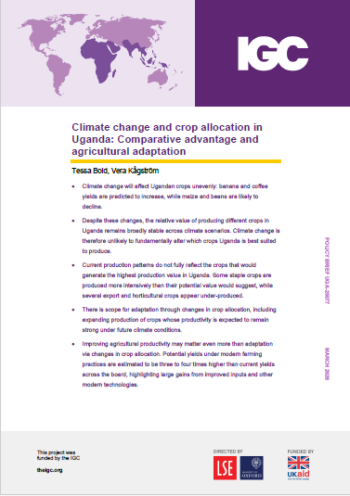 Policy brief: Climate change and crop allocation in Uganda