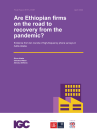 Abebe et al Final Report April 2022 report cover