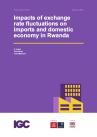 Bai et al final report January 2020