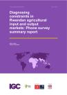 Loeser and Kondylis Final Report August 2024