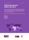 Bassi et al. Working Paper September 2024
