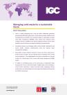 Oteng-Ababio Policy Brief September 2024