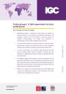 Chaudhry and Hussain Policy Brief October 2024
