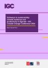 Orjuela Pava Policy note November 2024 cover