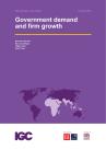 Thumbnail image of Hoekman et al Working Paper October 2024