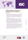 Cover page for policy brief
