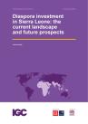 Diaspora investment working paper cover