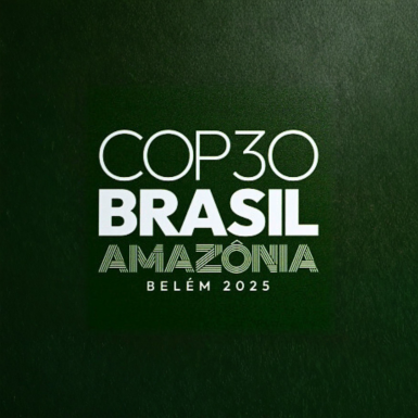 View of the l, in Belem, Para state, Brazil, taken on November 6, 2025. (Photo by Pablo PORCIUNCULA / AFP) (Photo by PABLO PORCIUNCULA/AFP via Getty Images)