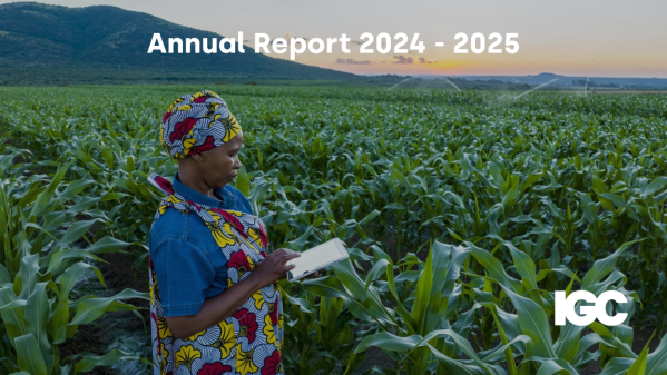Female farmer in Africa using a digital tablet monitoring a large corn crop. Irrigation in background.