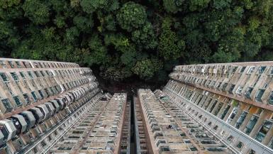 Climate change in cities demonstrated by an urban building surrounded by nature in Hong Kong.