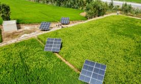Solar farm in Malakand, Pakistan. Photo by Green Voltaics Energy/Unsplash