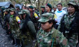 FARC combatants in demobilisation camp