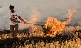 A farmer burns straw stubble after harvesting a paddy crop