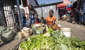 Women selling vegetables in a market in Lusaka