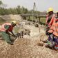 Women bricklayers repair bridge in Bangladesh