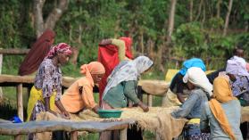 Coffee washing station near Jimma in 2011 (Photo by Counter Culture Coffee via Flickr) CC BY-NC-ND 2.0