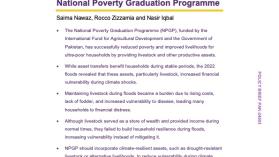 Strengthening climate resilience through asset transfers: Lessons from Pakistan&rsquo;s National Poverty Graduation Programme