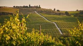 Photo by Johny Goerend on Unsplash