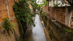 An open sewer in a city in Brazil flanked by walls, plants and birdlife.