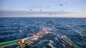 Why oceans matter for development, as illustrated by a fishing trawler in the sea, against waves and birds in the background.