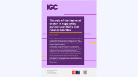 Financial sector supporting rural SMEs cover