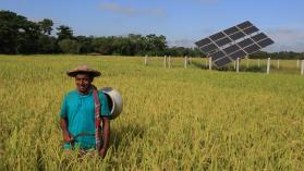 A picture of a farmer with an agrivoltaics in the background in rural Bangladesh
