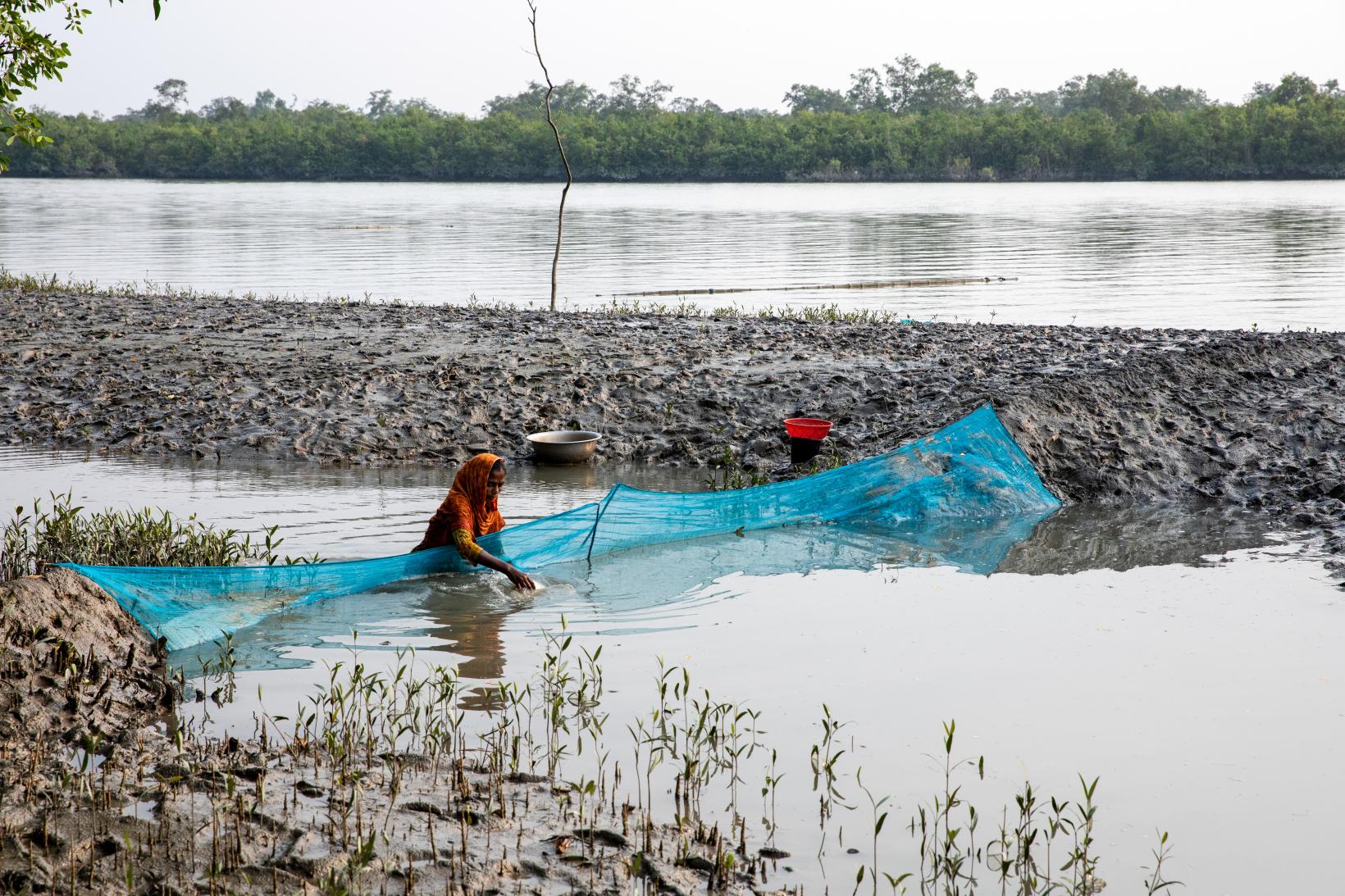 Woman fishing in Satkhira 