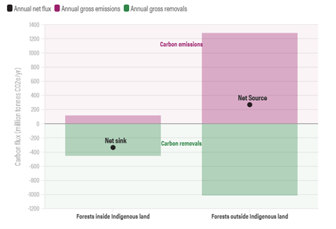 A figure showing carbon emissions and removals in Amazon forests