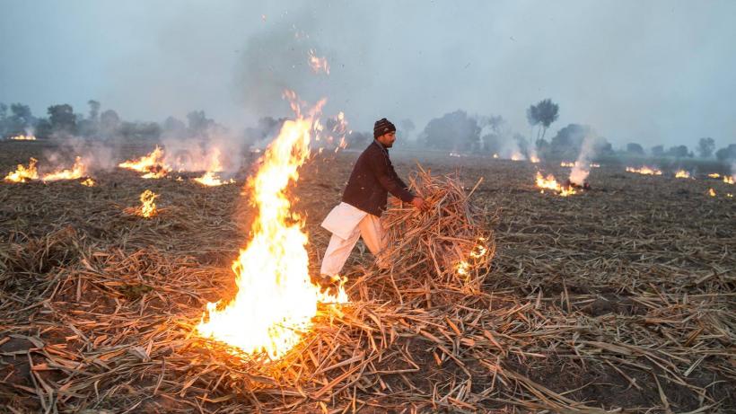 Alternatives to Crop-burning in Indian Agriculture