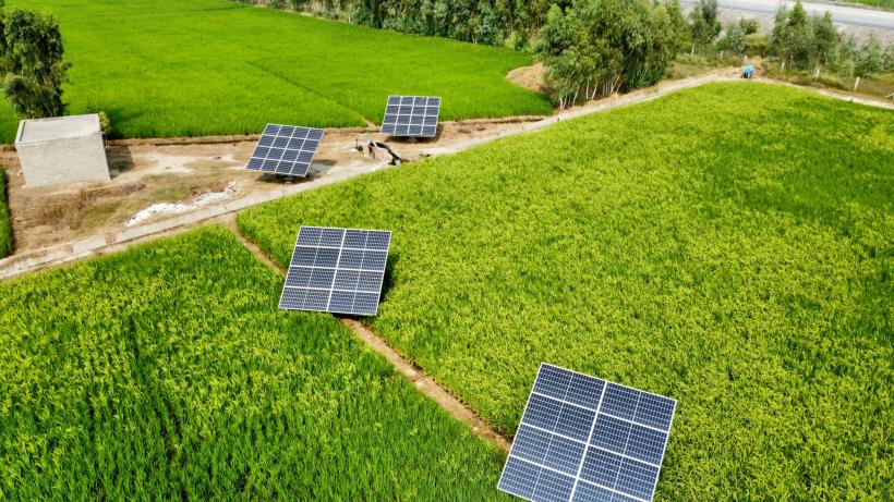 Solar farm in Malakand, Pakistan. Photo by Green Voltaics Energy/Unsplash