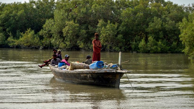 Mangroves in Pakistan