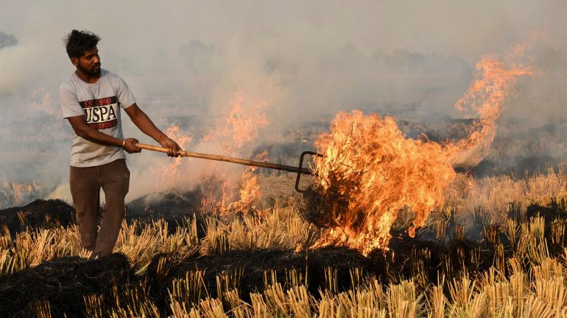 A farmer burns straw stubble after harvesting a paddy crop