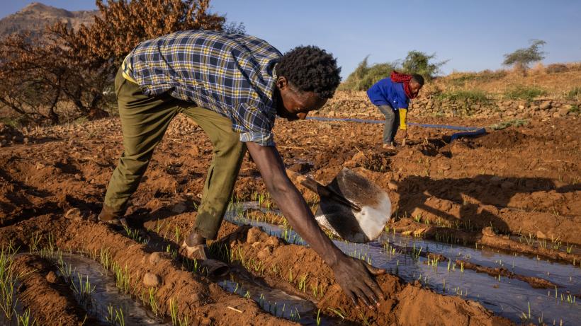 TIGRAY, ETHIOPIA - FEBRUARY 19: Farmers Desta Gebreyesus (L), 26, and Berhanu Gereyesus, 23, channel water pumped up to fields from a hole dug deep into a dried out river bed in the Yechila district
