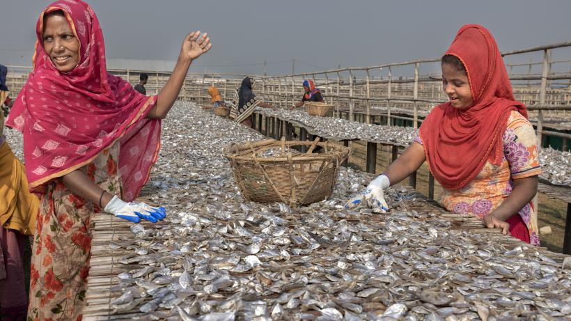 Two women working with fish in Bangladesh.