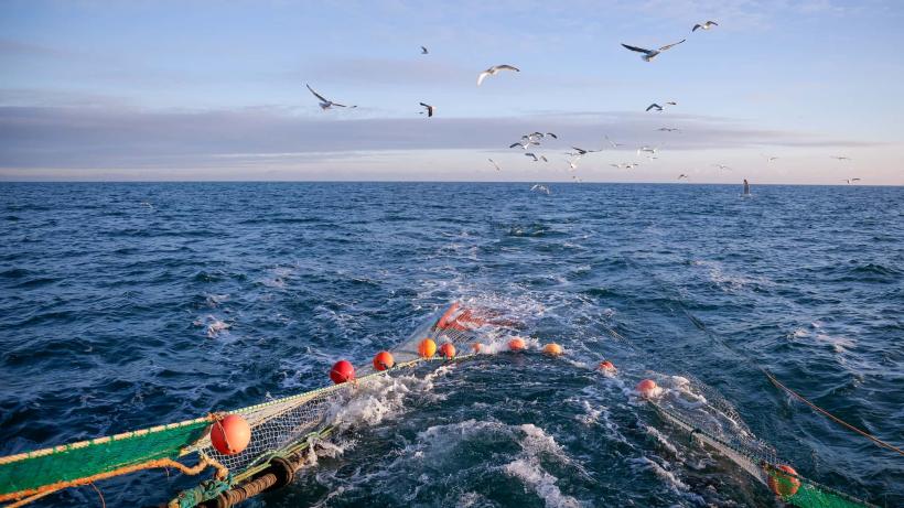 Why oceans matter for development, as illustrated by a fishing trawler in the sea, against waves and birds in the background.