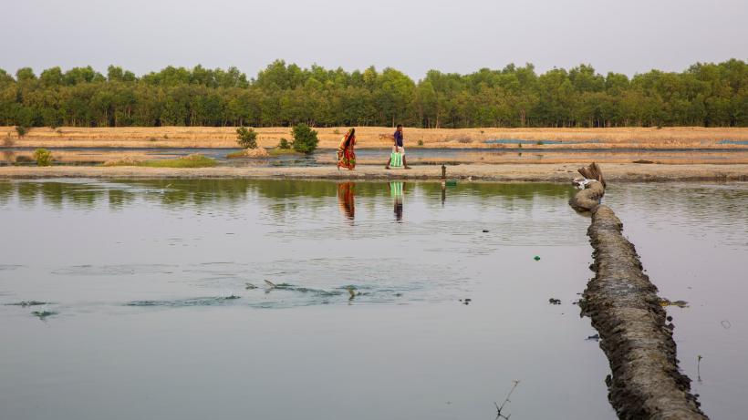 Two people walking in the horiszon on the border of a fish and shrimp farm with a narrow walkway separating the pond.