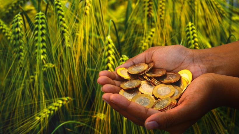Coins in farmer's hands. Photo credit: Anand Purohit / Moment via Getty Images.