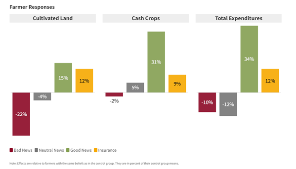 A graph showing the impact of forecasts on farmers' farming and investment decisions