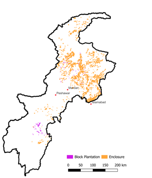 Map of Khyber Pahtunkhwa with enclosures (marked in yellow and majority in the north) and block plantations (marked in purple and few in the south).