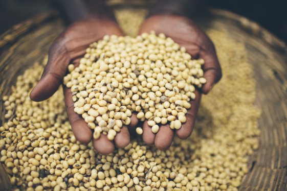Uganda - Farmers - Seeds - USAID US Agency for International Development