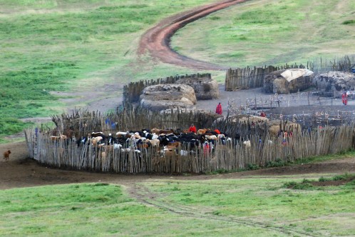 A Maasai village in the Ngorongoro Crater / note the individual lodges to the top and right and the coral for the livestock to the bottom left