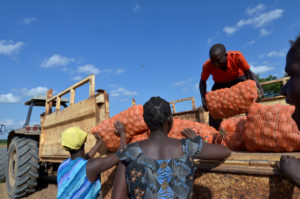 Business - Zambia