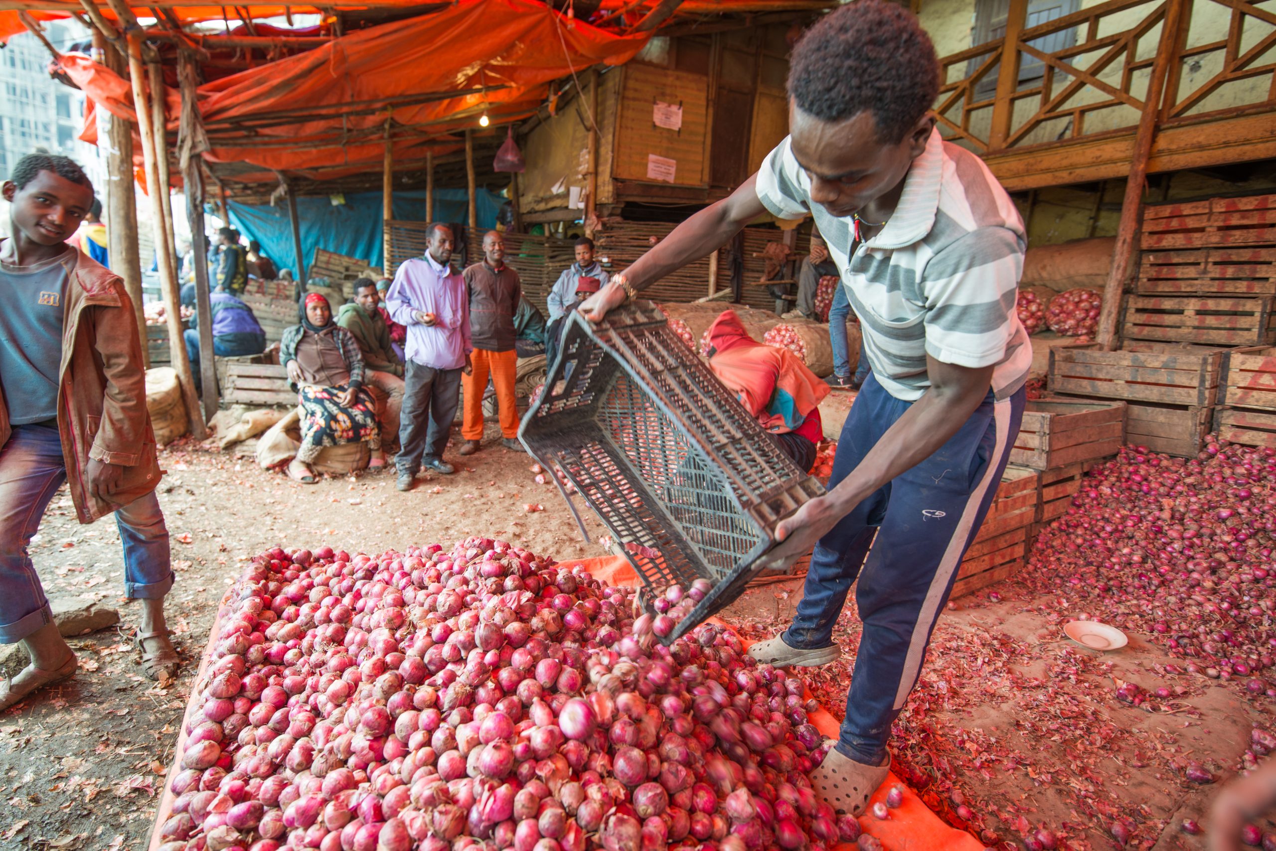 Inflation In Ethiopia Supply side Drivers IGC inflation-in-ethiopia-supply-side-drivers-igc